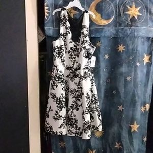 Cocktail, party, evening dress